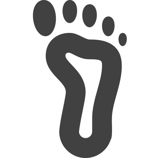 Foot reflexology Software